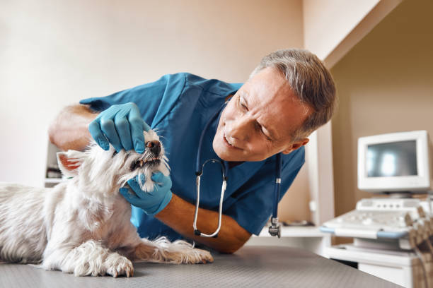Best Emergency Dentist for Special Needs Patients in Lennox, SD